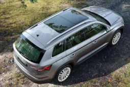 
										Skoda Kodiaq full									